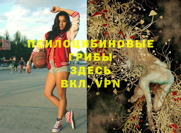 амф Няндома