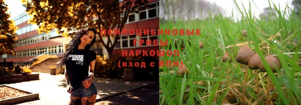 гашик Абаза