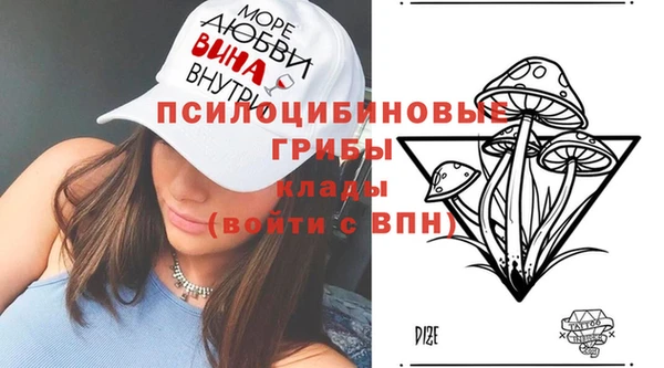 гашик Абаза